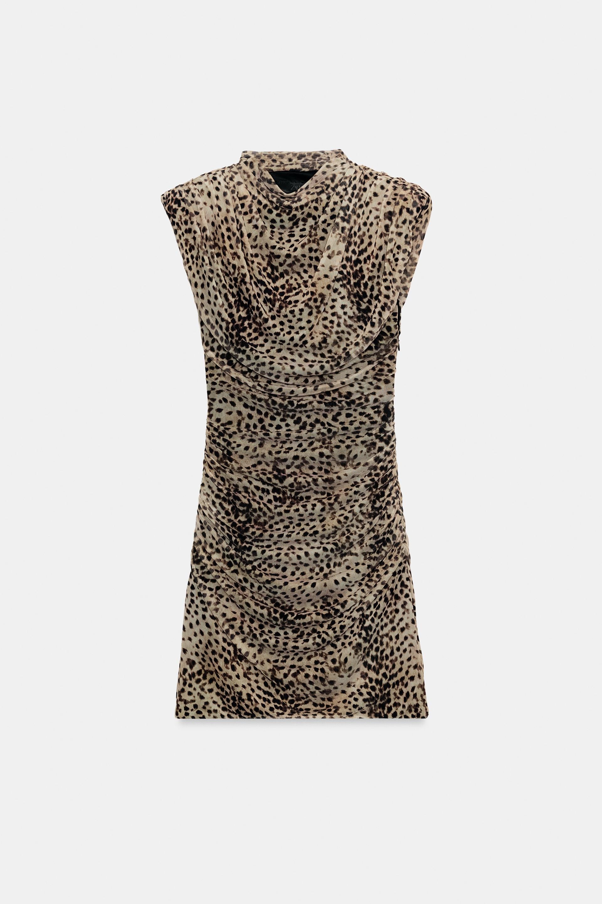 #130702, Leopard