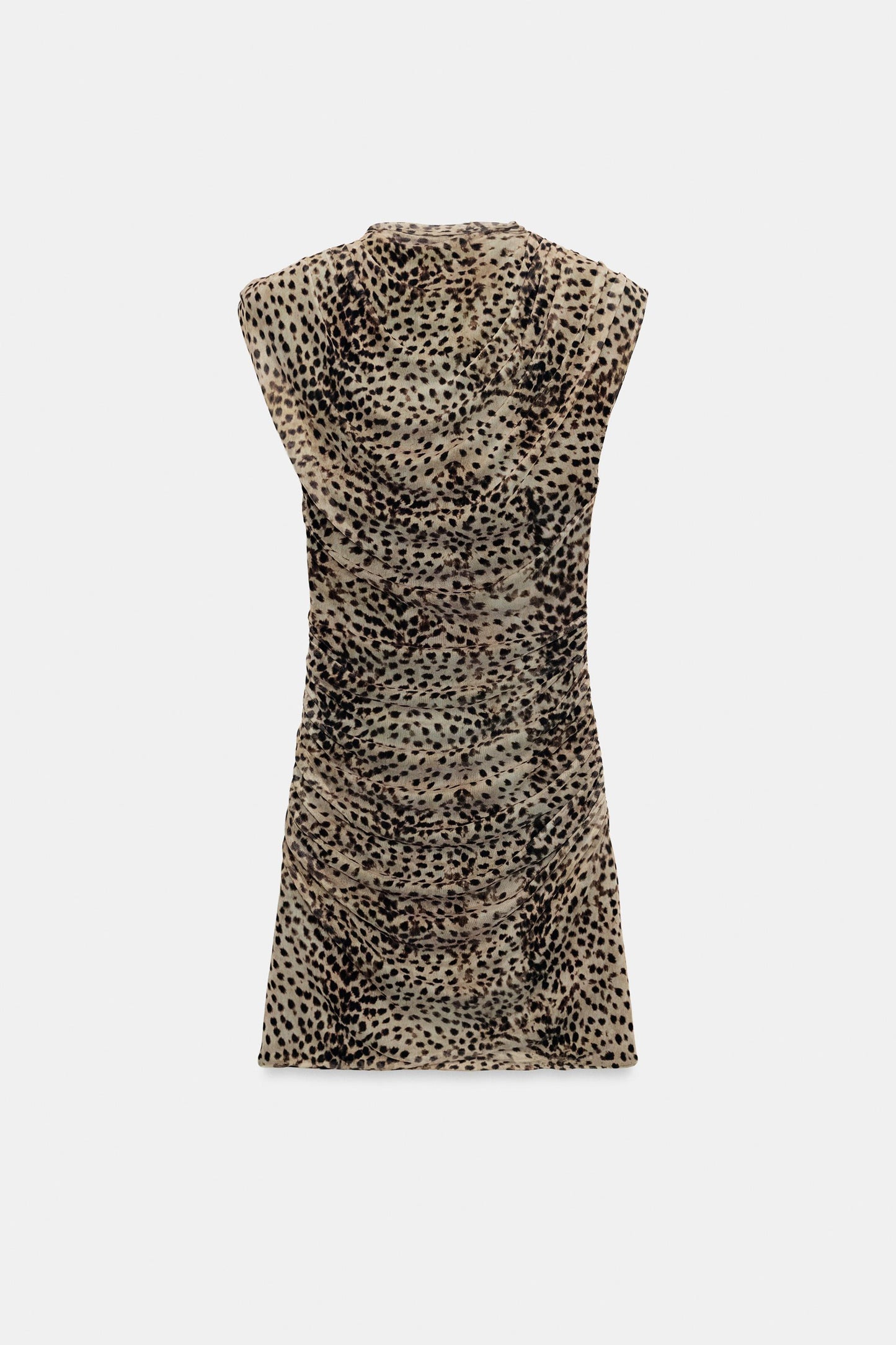 #130702, Leopard